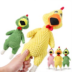 Pet Products